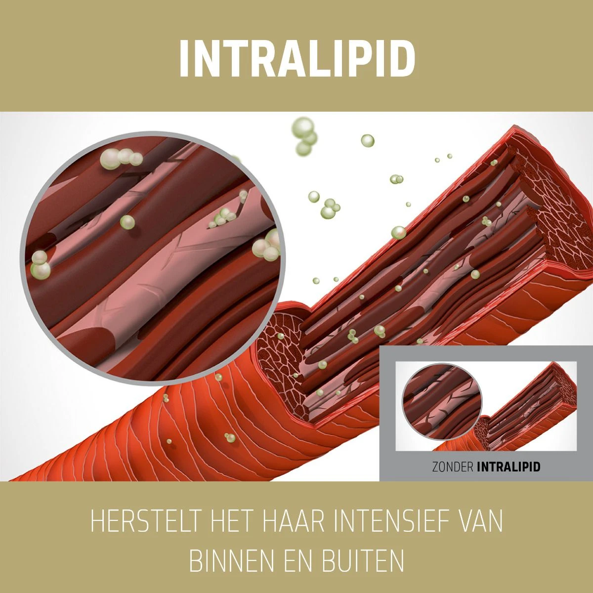 Goldwell Dualsenses Rich Repair 6 Effects Serum 100ml 5 Goldwell Dualsenses Rich Repair 6 Effects Serum 100ml - Afbeelding 3