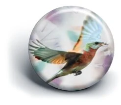 Jaguar Knipschaar Painted Paradise In Heaven 5,5inch -Hair Pro Verkoop ja9 pin inheaven